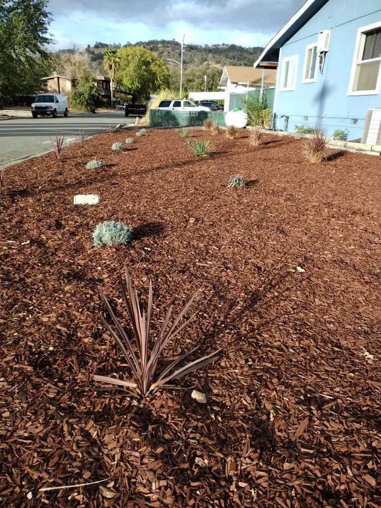 Custom outdoor landscaping for outdoor upgrades across Clearlake, CA - Land Escape