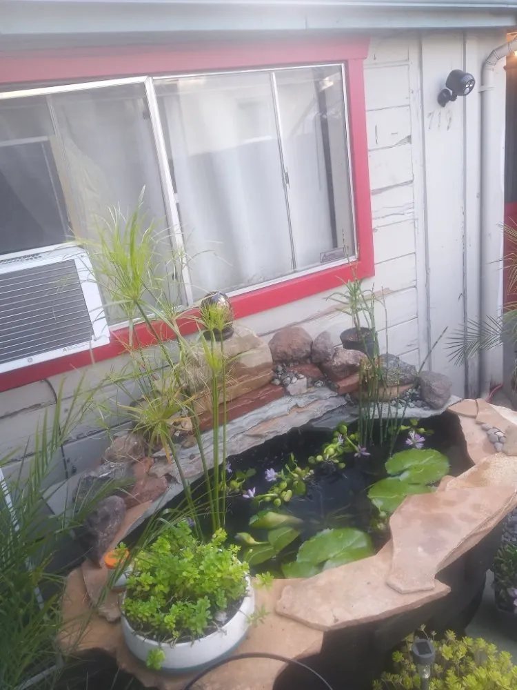 Expert outdoor landscaping experts serving Clearlake, CA - Land Escape