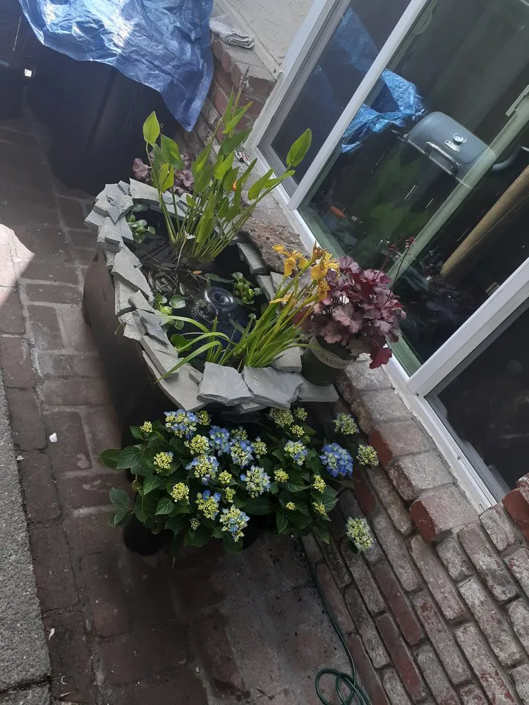 Professional landscape installation for beautiful yards across Clearlake, CA - Land Escape