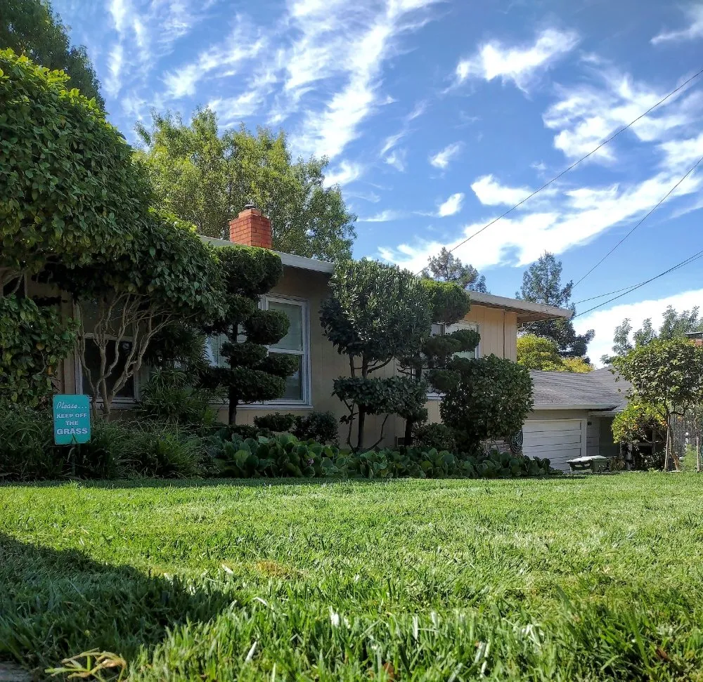 Local landscape design in Clearlake, CA by Land Escape