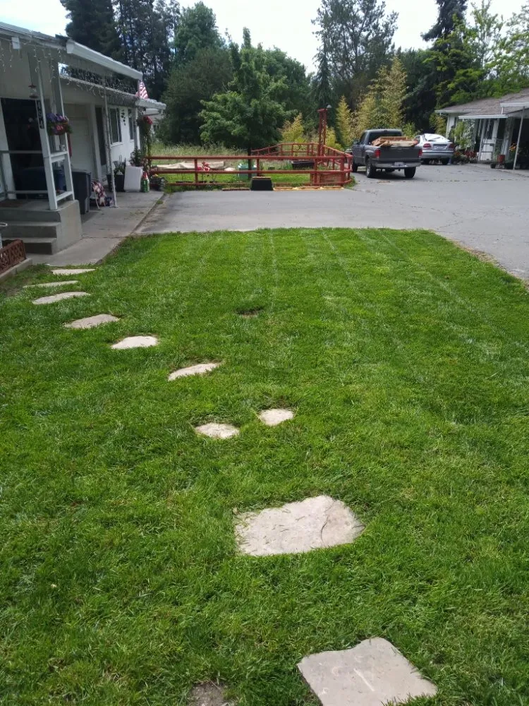 Top-rated residential landscaping experts serving Clearlake, CA - Land Escape