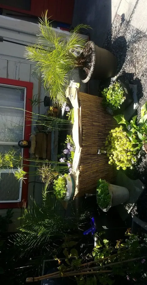 Reliable residential landscaping in Clearlake, CA by Land Escape