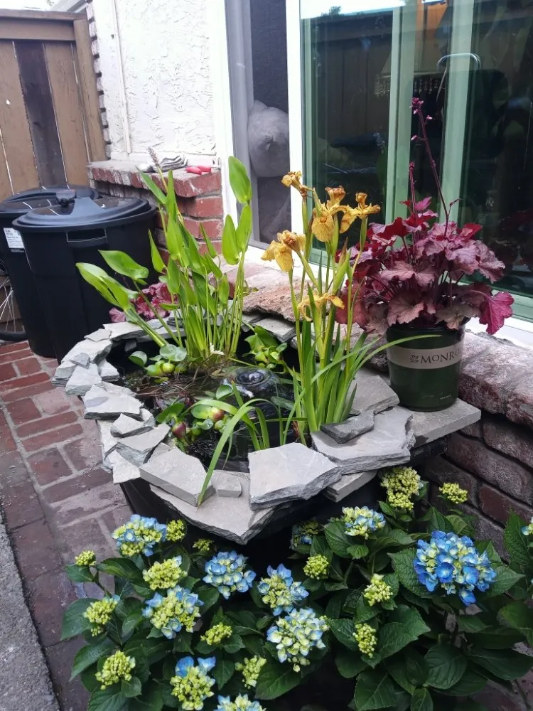 Affordable yard maintenance experts serving Clearlake, CA - Land Escape