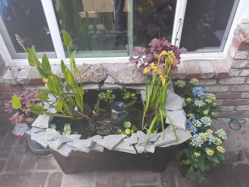 Custom landscaping services for homes across Clearlake, CA - Land Escape