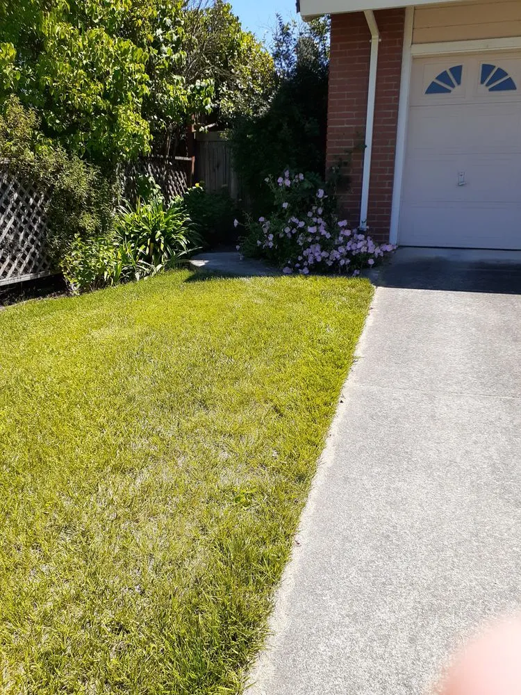 Reliable lawn mowing service in Clearlake, CA by Land Escape