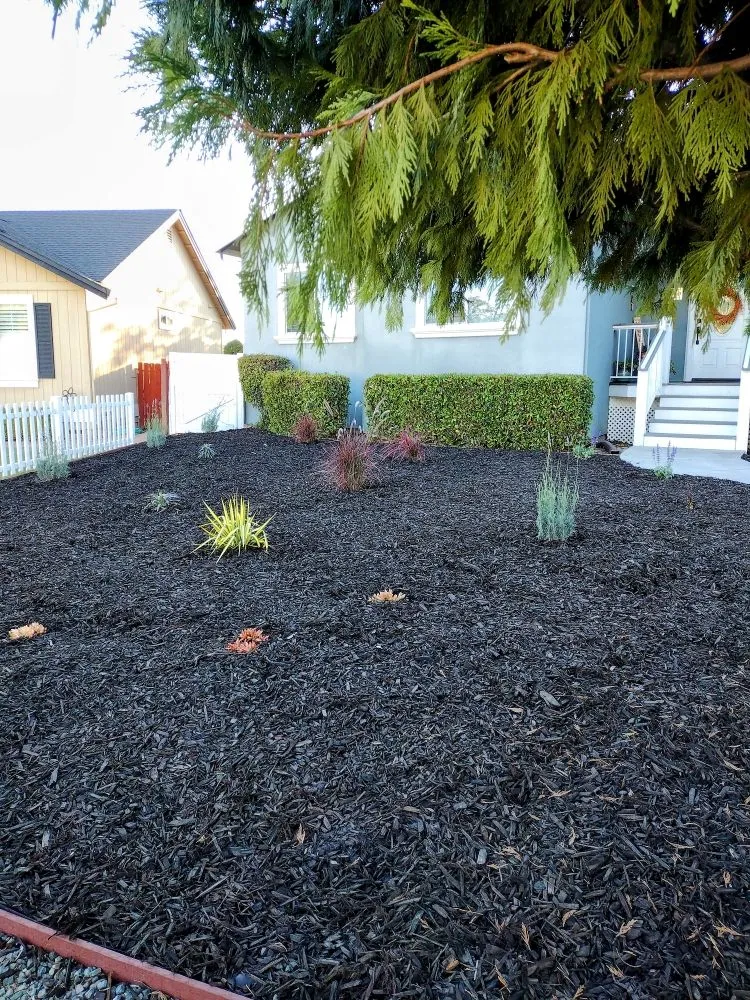 Expert landscape design in Clearlake, CA - Land Escape