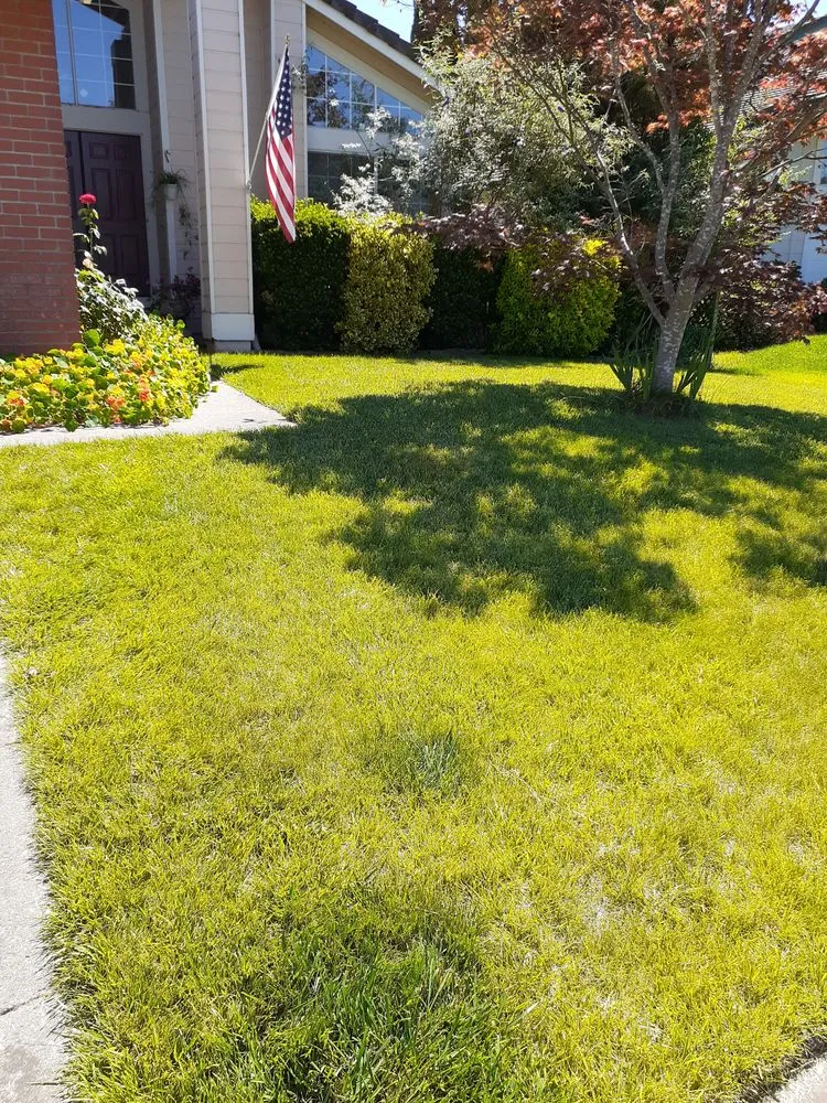 Professional lawn care service for beautiful yards across Clearlake, CA - Land Escape