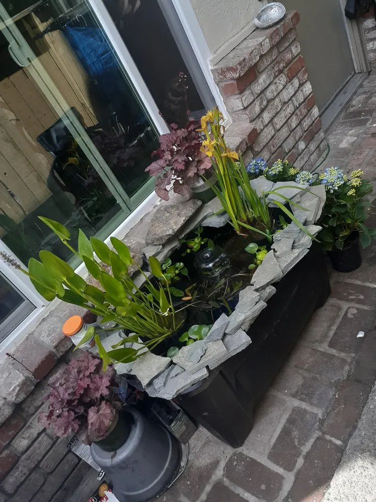 Reliable landscaping services experts serving Clearlake, CA - Land Escape