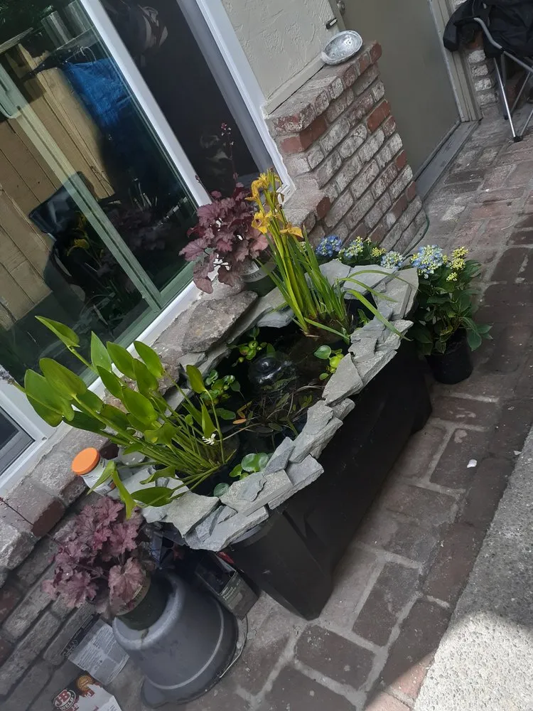 Custom landscape design for homes across Clearlake, CA - Land Escape