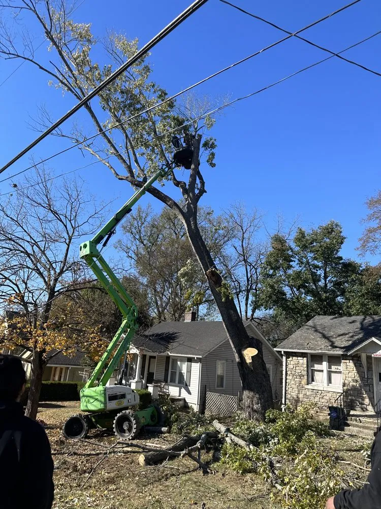 Custom yard maintenance near you across Nashville, TN - Land Escape