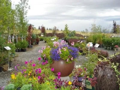 Professional garden landscaping experts serving Bozeman, MT - Land-Escapes