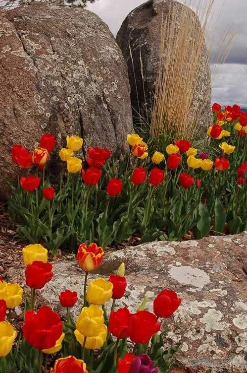 Top-rated residential landscaping in Bozeman, MT - Land-Escapes