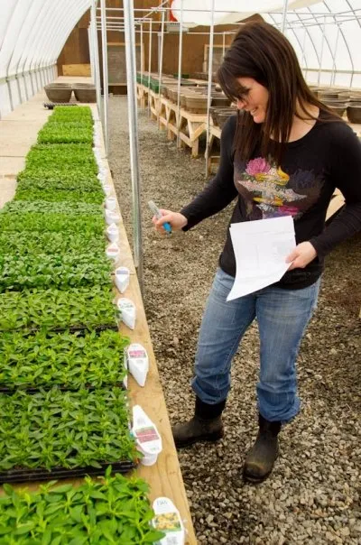 Expert yard maintenance in Bozeman, MT - Land-Escapes