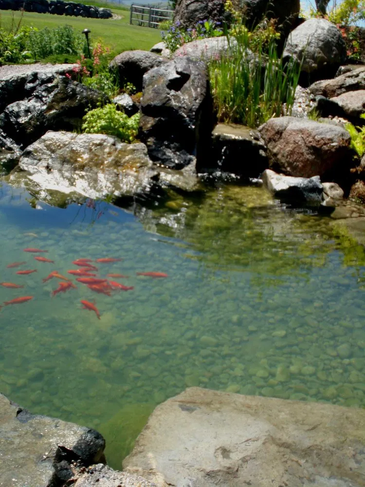 Top-rated landscaping services for outdoor upgrades in Bozeman, MT by Land-Escapes