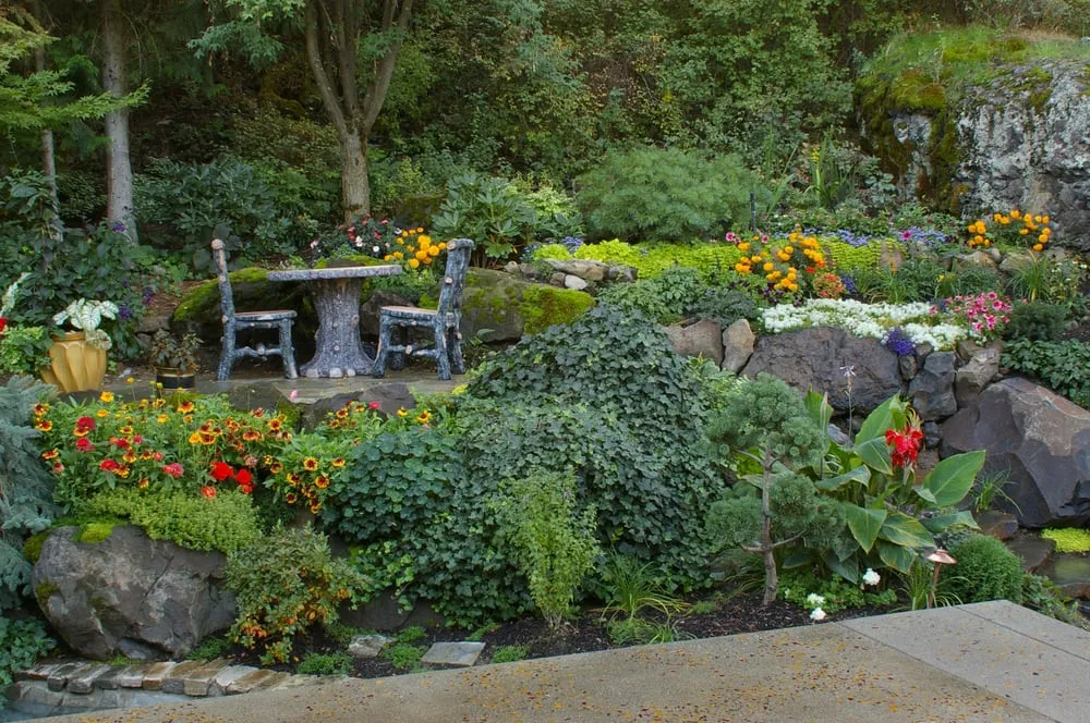 Expert lawn care service in Mead, WA by Land Expressions