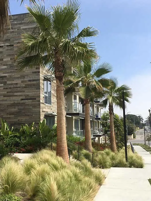 Reliable garden landscaping experts serving Irvine, CA - Land Forms Landscape Construction