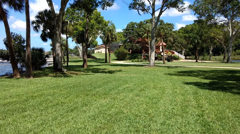 Local outdoor landscaping for year-round maintenance in Oldsmar, FL by Land Graphics