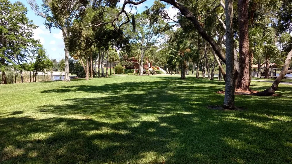 Top-rated landscaping services for beautiful yards in Oldsmar, FL by Land Graphics