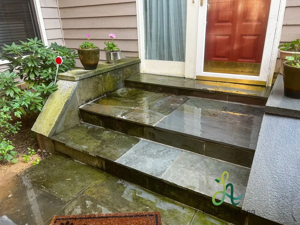 Expert residential landscaping in Damascus, MD by Land Healing