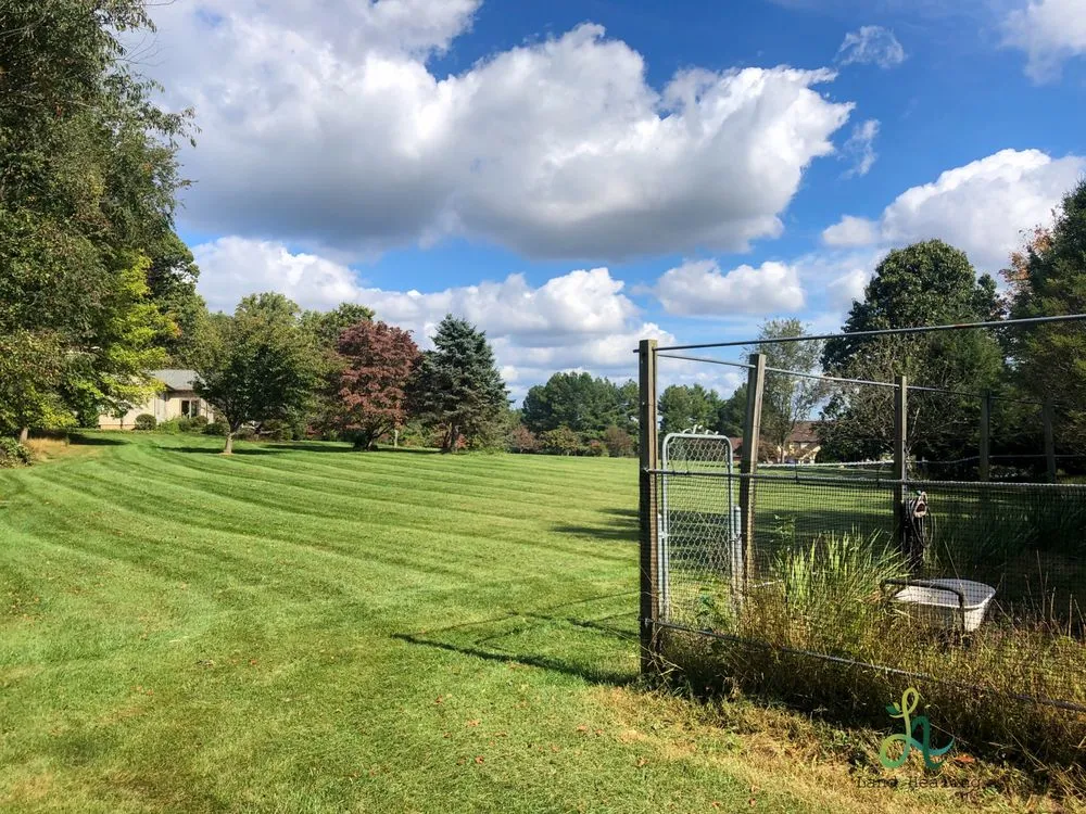 Reliable landscape installation for residential properties across Damascus, MD - Land Healing