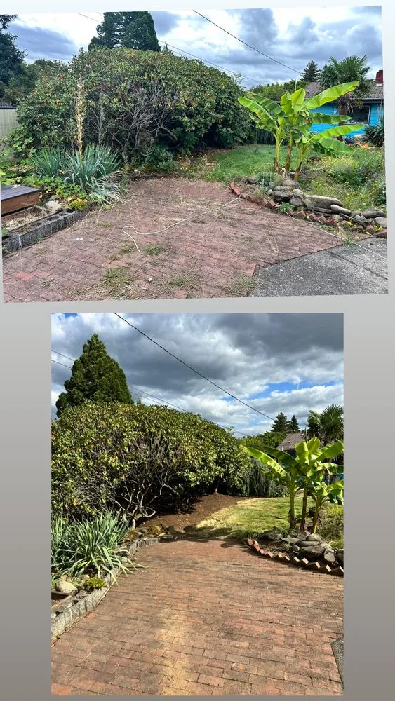 Top-rated garden landscaping for outdoor upgrades across Beaverton, OR - Land Love Landscaping