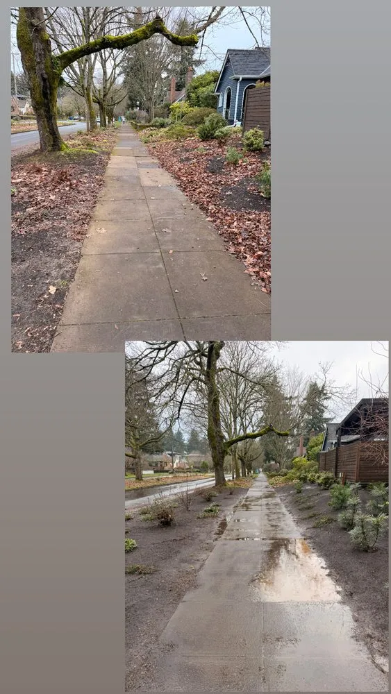 Affordable yard cleanup service in Beaverton, OR by Land Love Landscaping