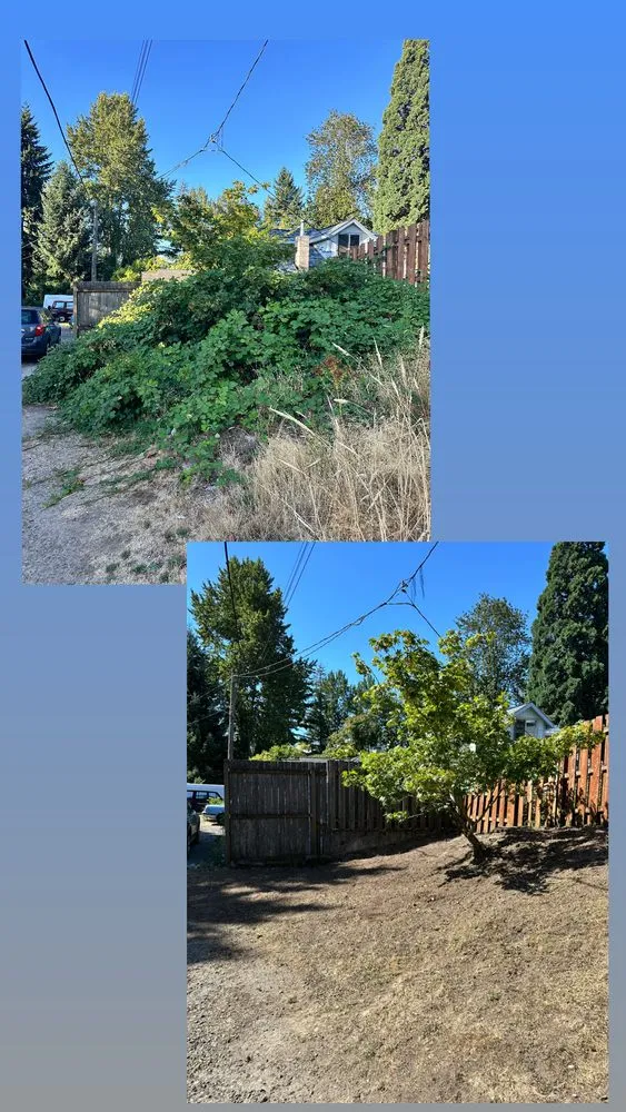 Expert outdoor landscaping for year-round maintenance across Beaverton, OR - Land Love Landscaping