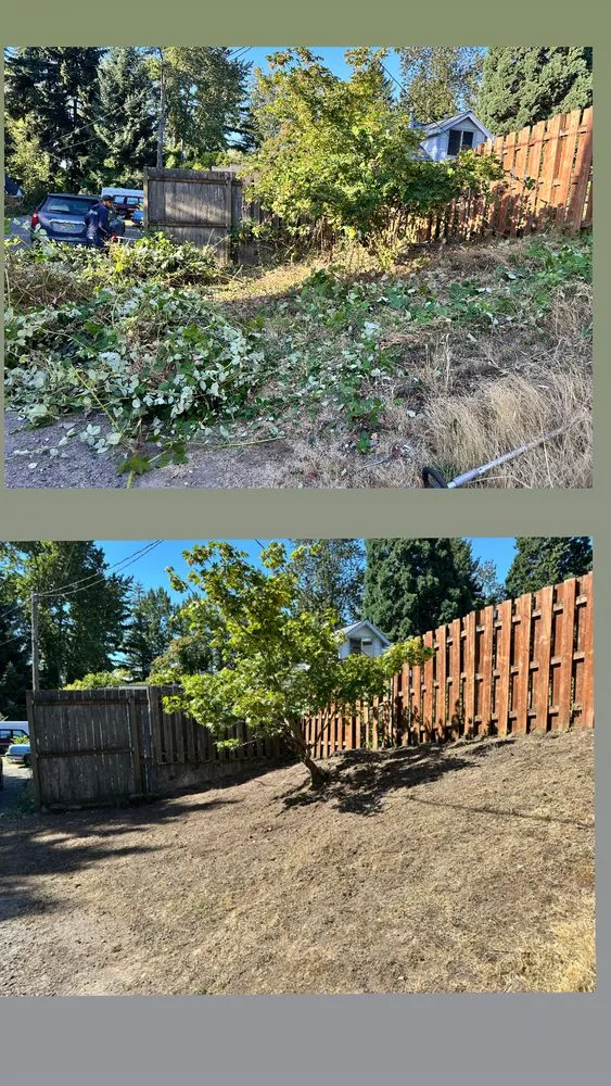 Affordable landscape installation for residential properties across Beaverton, OR - Land Love Landscaping