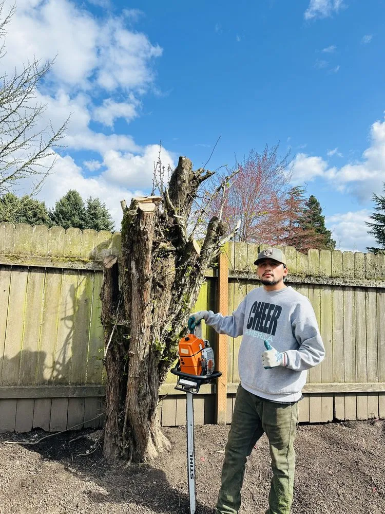 Reliable lawn care service experts serving Beaverton, OR - Land Love Landscaping