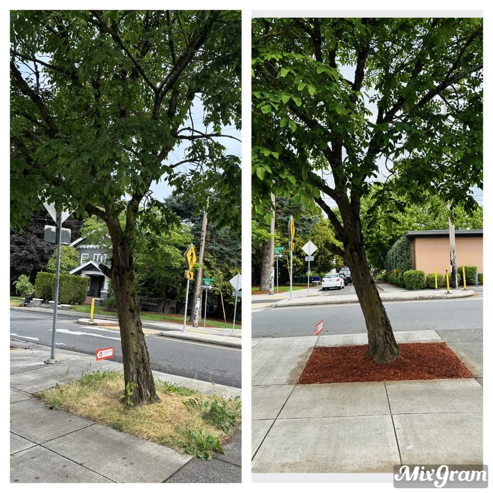 Professional landscape installation experts serving Beaverton, OR - Land Love Landscaping