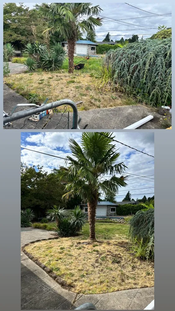 Trusted landscaping services experts serving Beaverton, OR - Land Love Landscaping