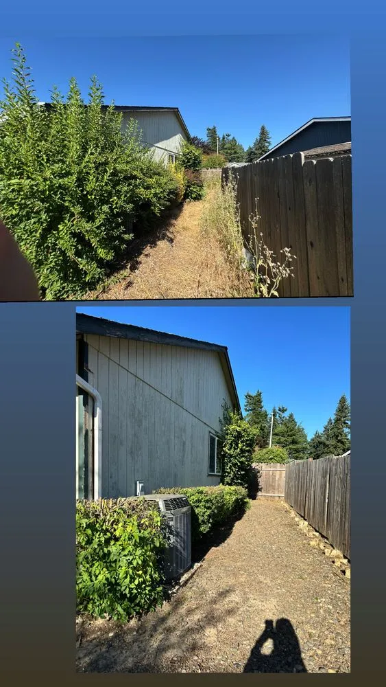 Local landscape installation experts serving Beaverton, OR - Land Love Landscaping