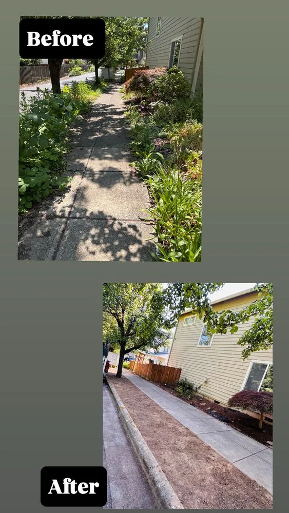 Local landscape installation experts serving Beaverton, OR - Land Love Landscaping