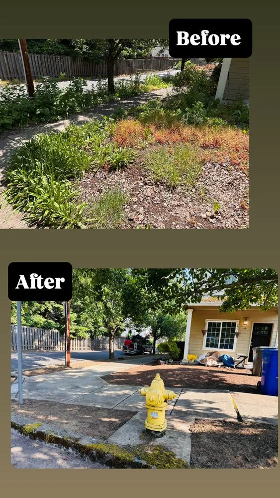 Affordable yard cleanup service in Beaverton, OR - Land Love Landscaping