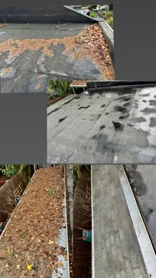 Land Love Landscaping