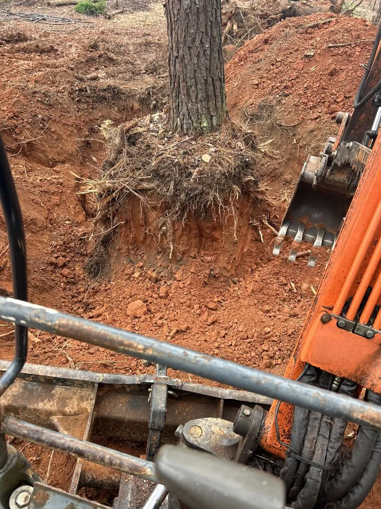 Custom yard maintenance for homes in Fort Lawn, SC by Land Maintenance and Excavator Service