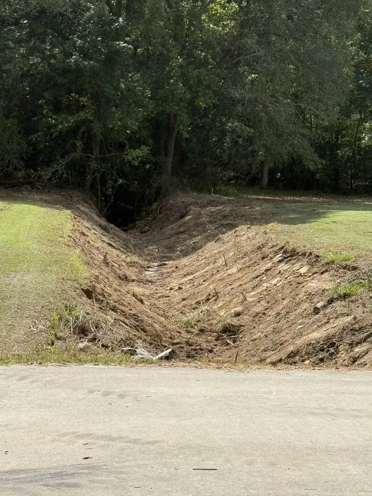 Local yard cleanup service in Fort Lawn, SC by Land Maintenance and Excavator Service