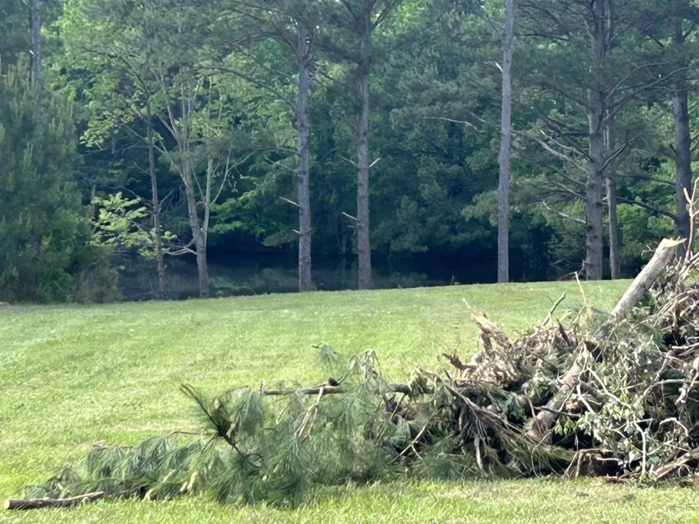 Local landscaping services in Fort Lawn, SC - Land Maintenance and Excavator Service