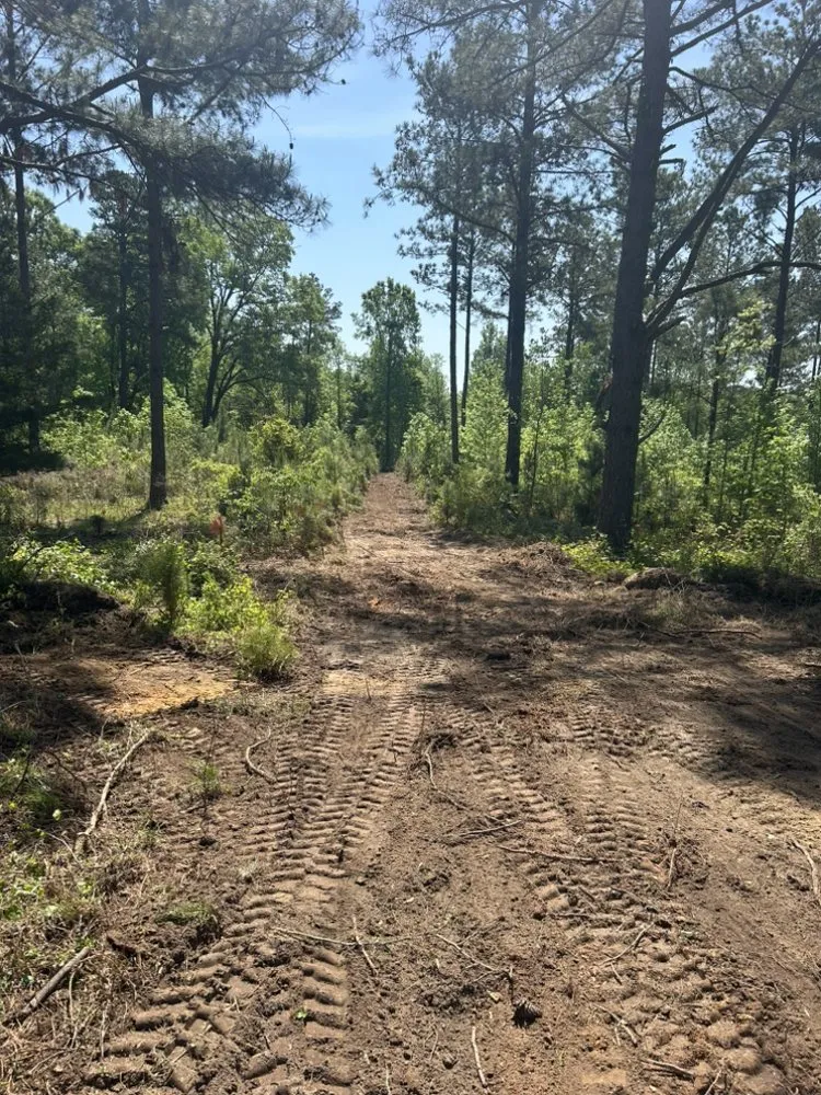 Reliable landscaping services in Fort Lawn, SC - Land Maintenance and Excavator Service