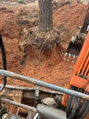 Land Maintenance and Excavator Service