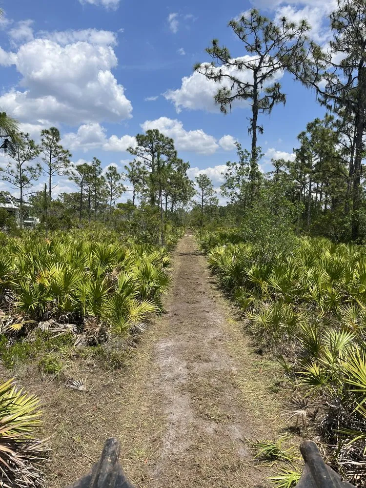 Top-rated garden landscaping in Parrish, FL - Land man services