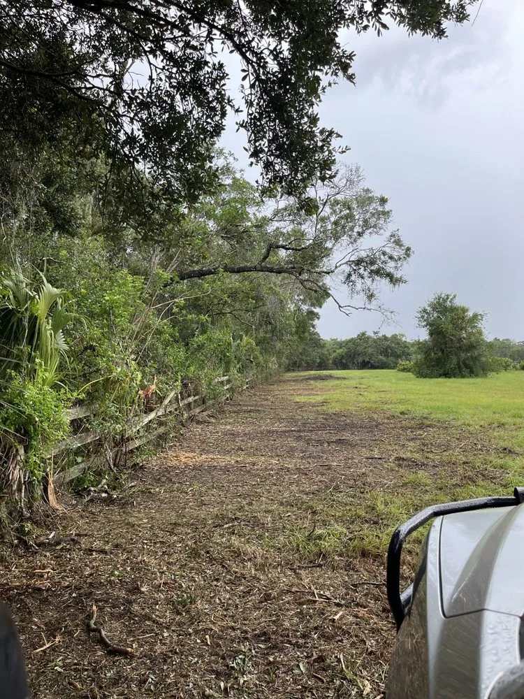 Reliable lawn care service with custom design in Parrish, FL by Land man services