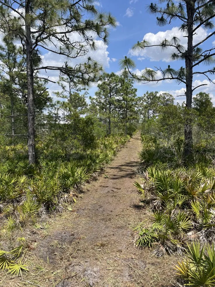 Reliable garden landscaping experts serving Parrish, FL - Land man services