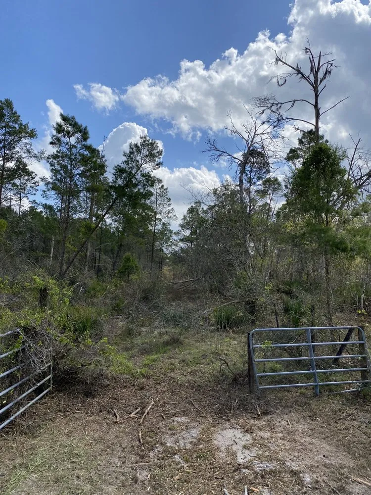 Affordable garden landscaping in Parrish, FL by Land man services