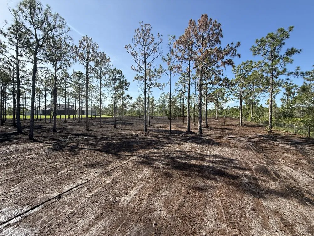 Reliable yard cleanup service in Parrish, FL - Land man services