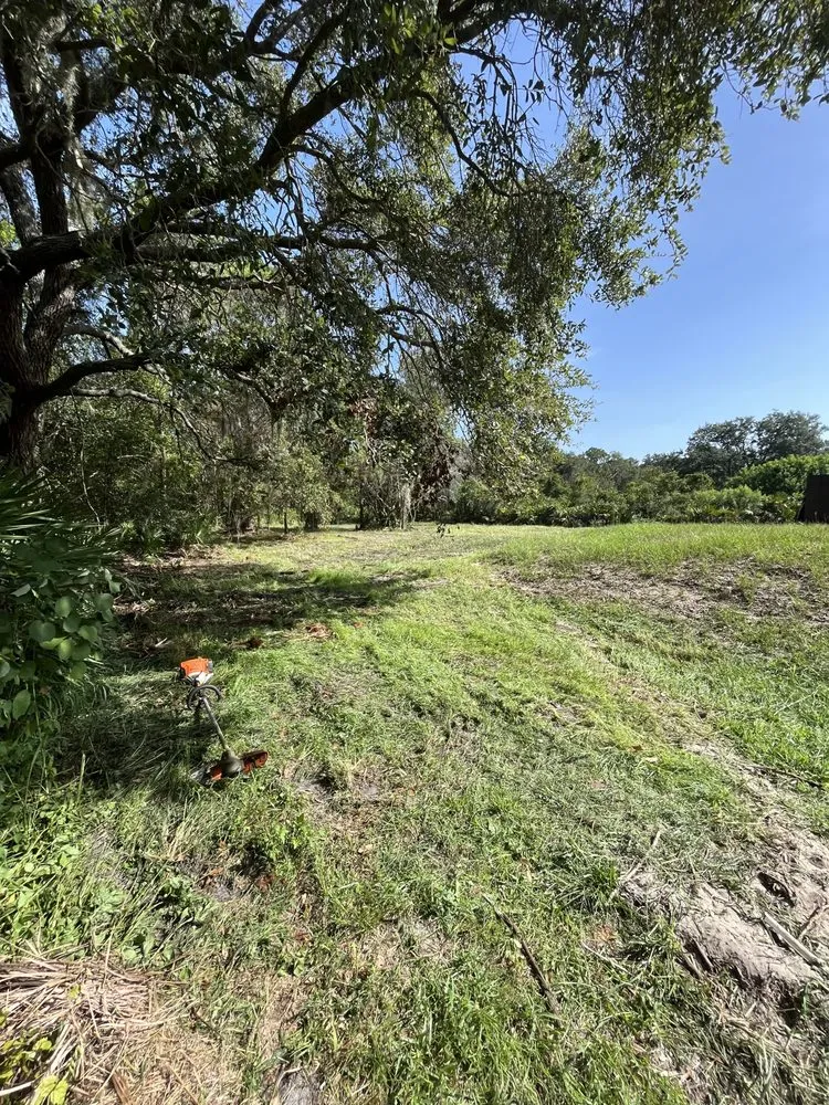 Custom residential landscaping in Parrish, FL - Land man services