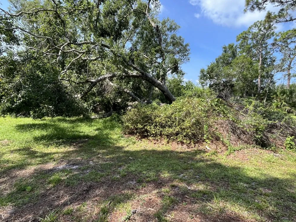 Expert garden landscaping in Parrish, FL - Land man services