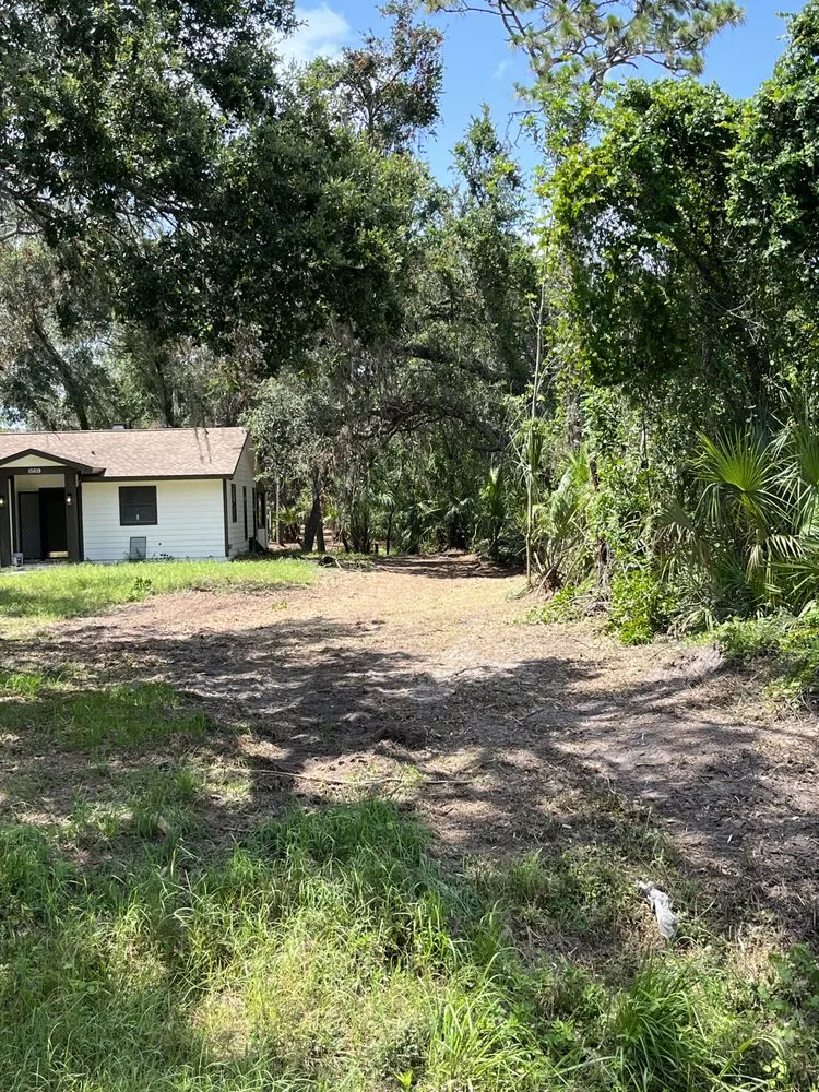 Affordable lawn care service for beautiful yards in Parrish, FL by Land man services