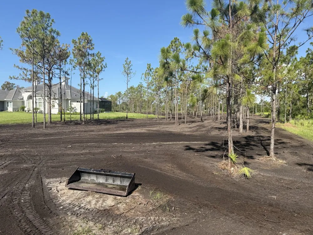 Affordable garden landscaping for year-round maintenance across Parrish, FL - Land man services