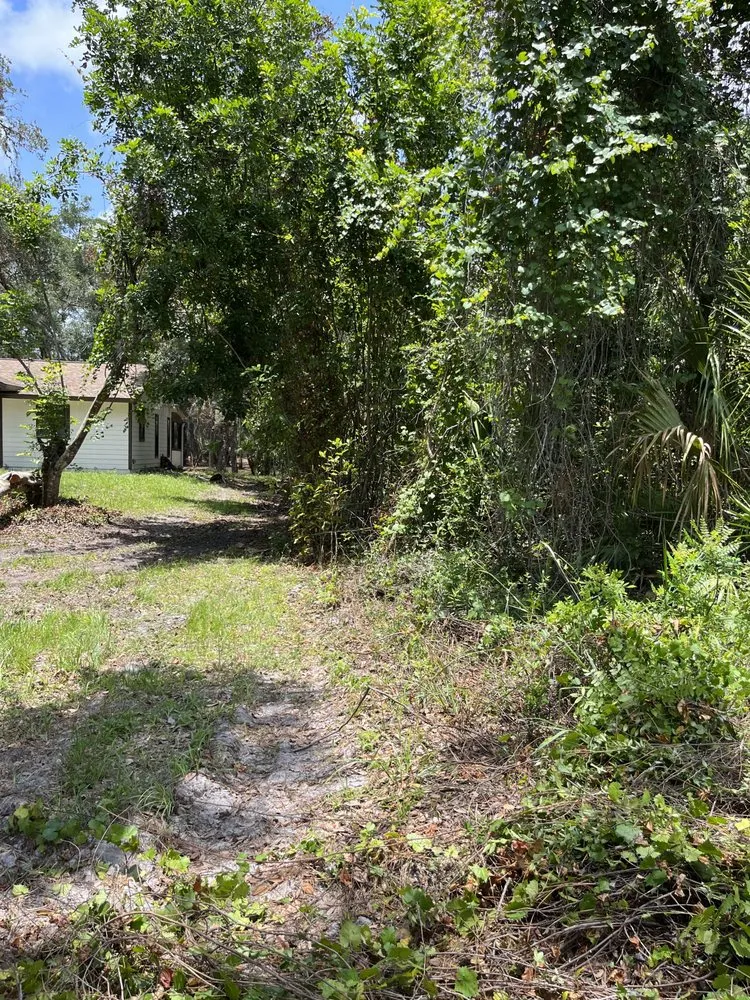 Trusted yard maintenance for outdoor upgrades in Parrish, FL by Land man services